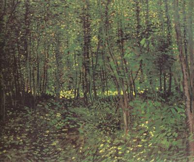 Trees and Undergroth (nn04), Vincent Van Gogh